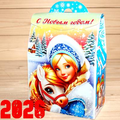 Детский новогодний подарок 2026 в Бронницах